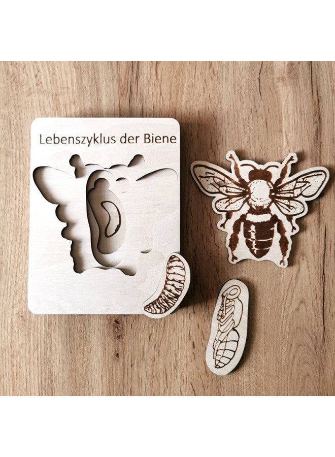 Wood Laser Carving Early Education Enlightenment Life Cycle Puzzle Multi-layer Insect Puzzle Toys Children's Puzzle Puzzle Puzzle-Color:Bee Puzzle - Image 2